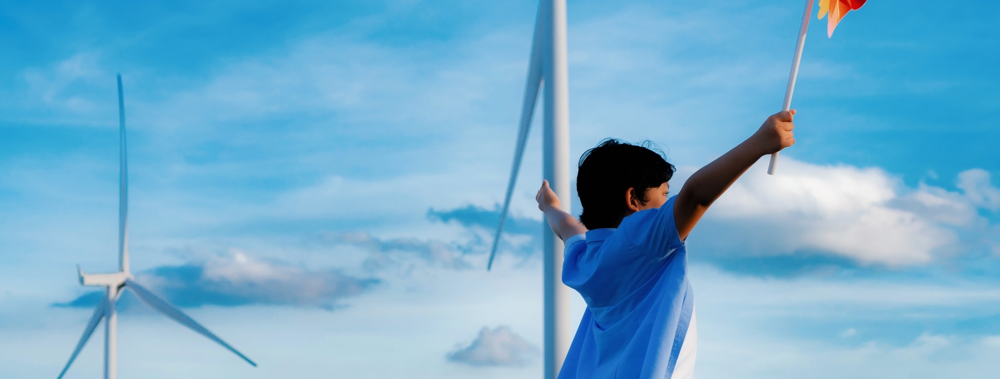 The Challenge of Social Acceptance in Wind Energy